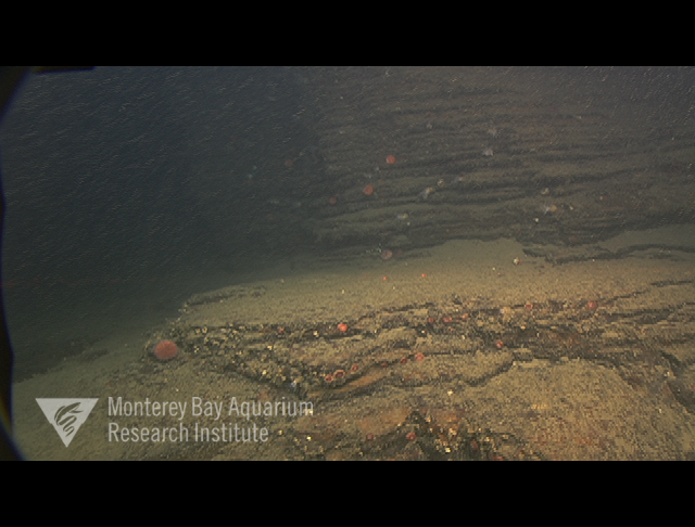 Representative image using: Monterey formation